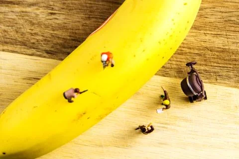 Hard team working to make the best banana possible Stock Photos