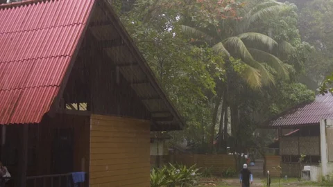 Hard tropical downpour Stock Footage 127700238