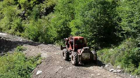 Hard vehicle in forest Stock Footage 12759895