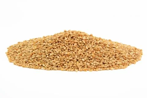 Hard Wheat Kernels. Stock Photos