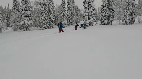 Hard winter skiing trip in a distant forest Vidéo 169023351