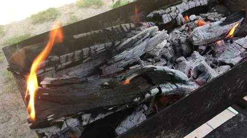 Hard Wood BBQ fire Stock Footage 137318272