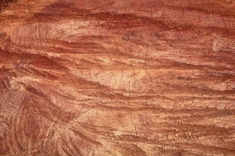 Hard wood texture with pattern background. Detail of wooden structure for i.. 写真素材