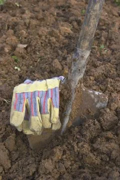 Hard work in the garden 스톡 사진