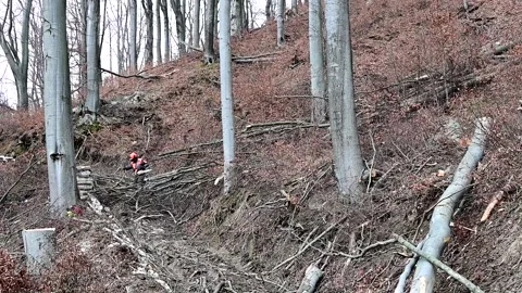 The hard work of a lumberjack in a mountain forest. The Carpathian Mountains Stock Footage 228112477