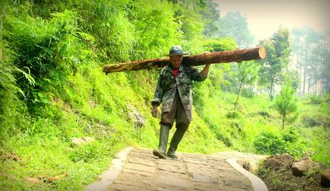 Hard Work Parent Stock Photos