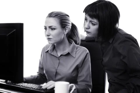 Hard at work Stock Photos