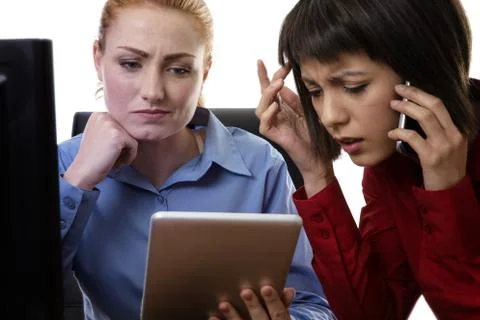 Hard at work Stock Photos