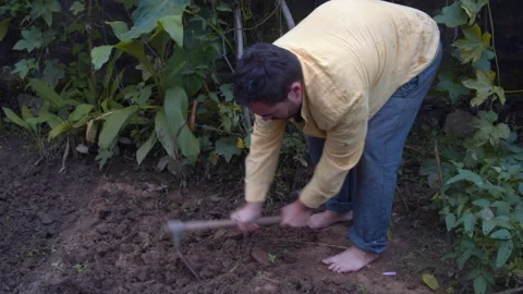 Hard Working Bean Farmer Hoeing His Garden Shoveling Dirt, Slow-Motion Stock Footage 169000559