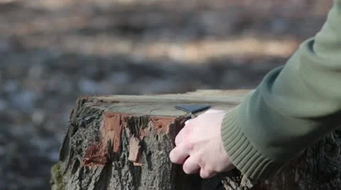 Hardcore firecrackers [gunpowder triangle] Video stock 20914308