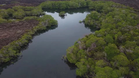 Hardened black lava edging tranquil river winding through verdant landscape 스톡 동영상 308400683