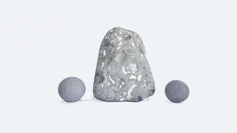 The hardened cockleshells Stock Photos