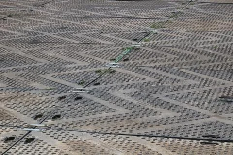 Hardstanding over grass with zig zag design - image 스톡 사진