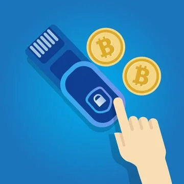 Hardware cold wallet bitcoin crypto secured USB dongle encrypted to store Stock Illustration