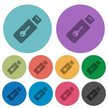 Hardware key color darker flat icons Illustration