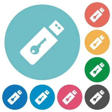 Hardware key flat round icons Illustration