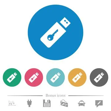Hardware key flat round icons Illustration