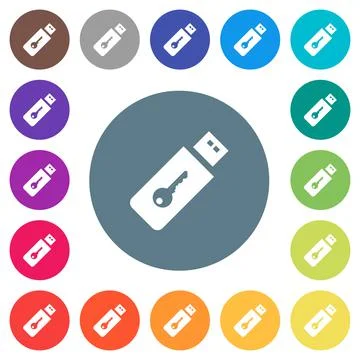 Hardware key flat white icons on round color backgrounds Illustration
