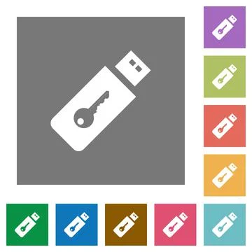 Hardware key square flat icons Illustration