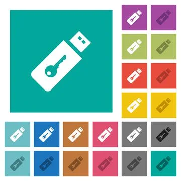 Hardware key square flat multi colored icons Illustration