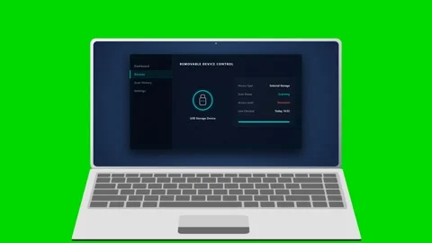 Hardware security key verification on laptop screen animation. 4K Stock Footage 342114869
