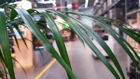 Hardware store Stock Footage 262672928