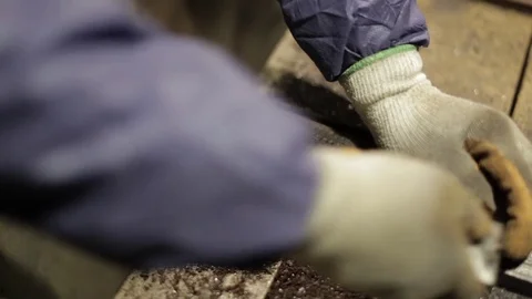 Hardwood Flooring Workshop - Scraping off the Old Tar Stock Footage 70304896