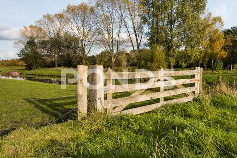 Hardwood gate between wooden posts in a rural area Stock Photos