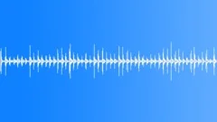 Hardwood hall walking Sound Effect