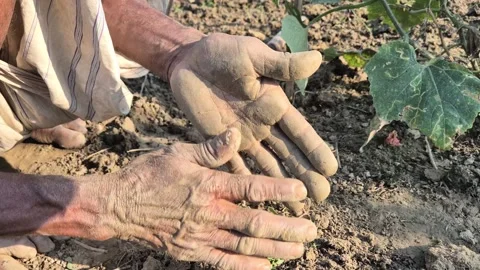 Hardworking Farmer Cleaning Muddy Dusty Hands After Field Work Close Up Shot Stock Footage 343080027