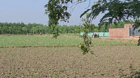 Hardworking Farmer in the Fields, Real Rural Life Stock Footage 313571312