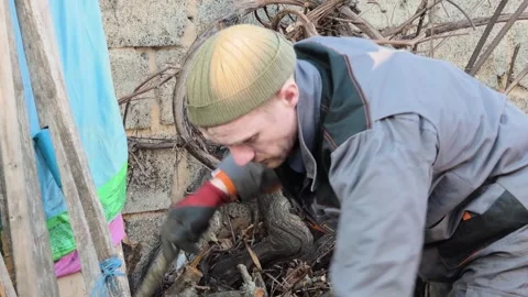 Hardworking man in workwear clearing and cleaning dry branches in a backyard Video stock 345395469