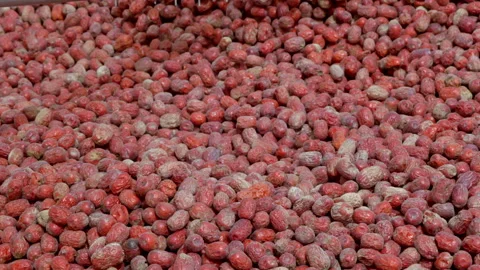 Hardworking people drying red dates_Xinjiang China（jujube） Stock Footage 240750316