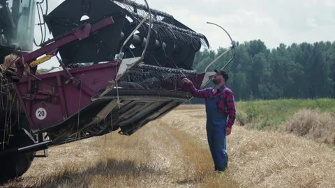 A hardworking young tractor driver cleans the knives of a combine harvester Stock Footage 139028817