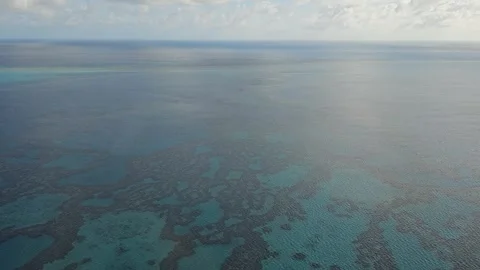 Hardy Reef Coral Patterns, Great Barrier Reef, Australia 8K Stock Footage 299064601