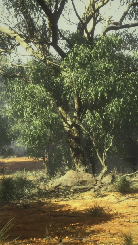 Hardy tree continues to grow amid intense heat and minimal surrounding greenery Stock Footage 326162789