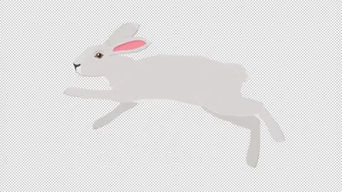 Hare. Animation of a running animal hare. Cartoon Stock Footage 156270694
