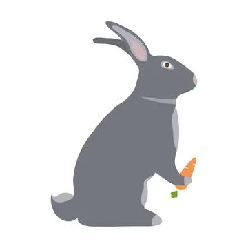 A hare with a carrot Stock Illustration