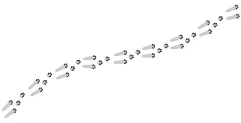 Hare footprints concept. Cute rabbit footprints. Isolated illustration on a Stock Illustration