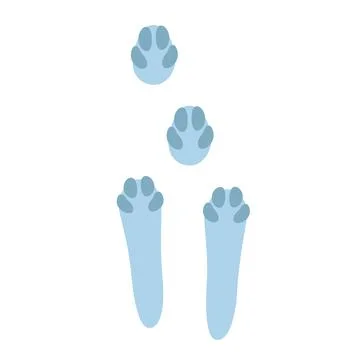 Hare footprints concept. Cute rabbit footprints. Isolated illustration on a Stock Illustration