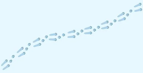 Hare footprints concept. Cute rabbit footprints. Isolated illustration on a Illustrazione stock