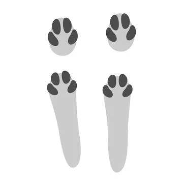 Hare footprints concept. Cute rabbit footprints. Isolated illustration on a Stock Illustration