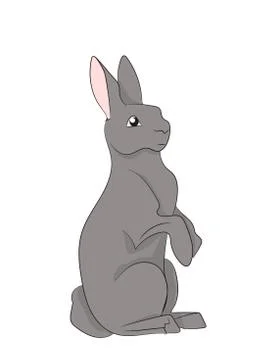 Hare gray vector Stock Illustration