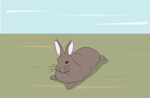 Hare gray vector Stock Illustration