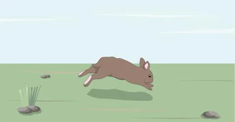Hare gray vector Illustrazione stock