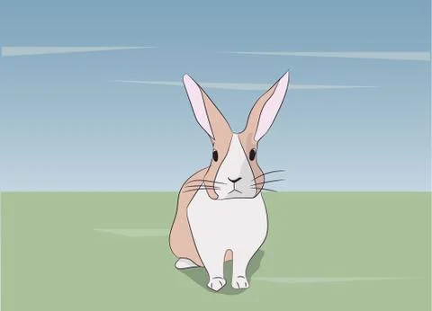 Hare gray vector Stock Illustration