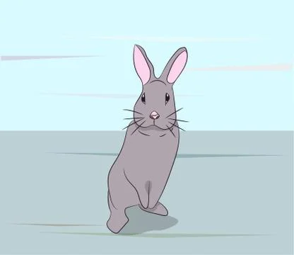 Hare gray vector Stock Illustration