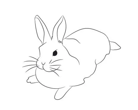 Hare lies, lines, vector Illustrazione stock