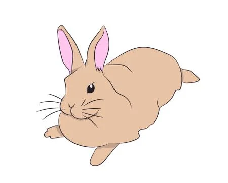 Hare lies, vector Stock-Illustration