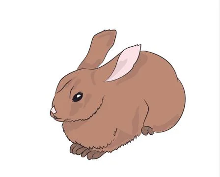 Hare lies, vector Stock Illustration